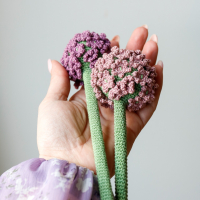 Allium haakpatroon