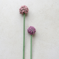 Allium haakpatroon