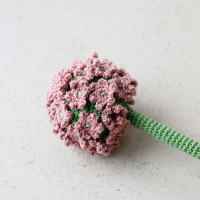 Allium haakpatroon