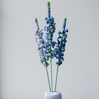 Delphinium haakpatroon