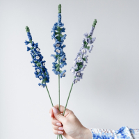 Delphinium haakpatroon