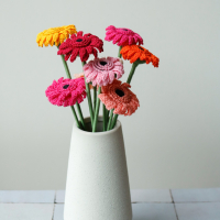 Gerbera haakpatroon