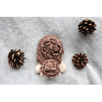 Mini Egel Lappenpop Pdf Patroon